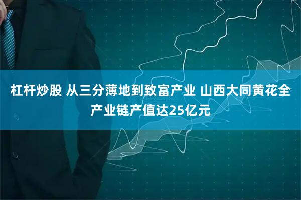 杠杆炒股 从三分薄地到致富产业 山西大同黄花全产业链产值达25亿元